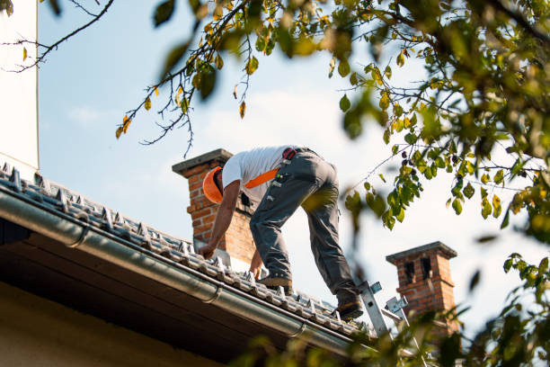 Best Best Roofing Contractors  in Bellevue, OH