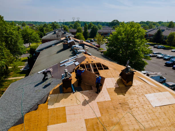 Quick and Trustworthy Emergency Roof Repair Services in Bellevue, OH